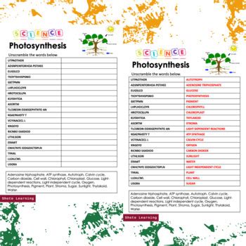 Photosynthesis Science Activity Scramble Words Vocabulary Word Game