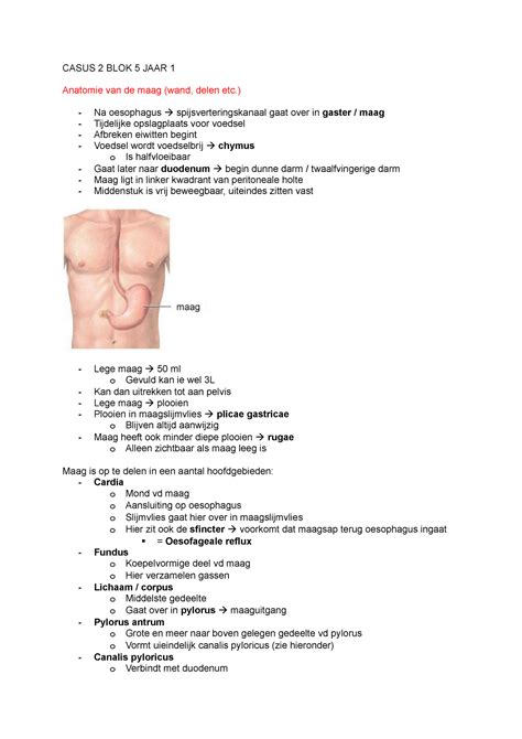 Casus Blok Jaar Casus Blok Jaar Anatomie Van De Maag