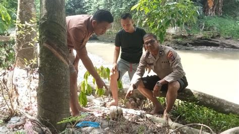 Heboh Warga Temukan Tengkorak Manusia Di Pinggir Sungai Batang Angkola