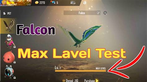 Falco New Pet Max Level Testing How To Work Falco Pet Garena Free