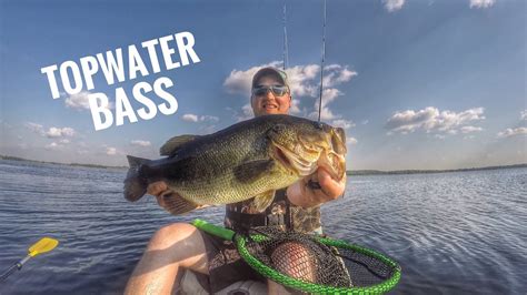 TOPWATER Bass Frog And Buzzbait Fishing YouTube