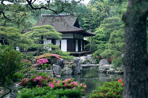 Imagenes Ethel Imagenes Hermoso De Japon Y China