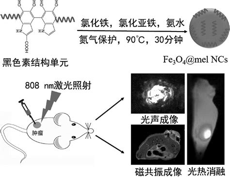 用于成像和光热治疗的磁性纳米材料和制备方法及应用与流程