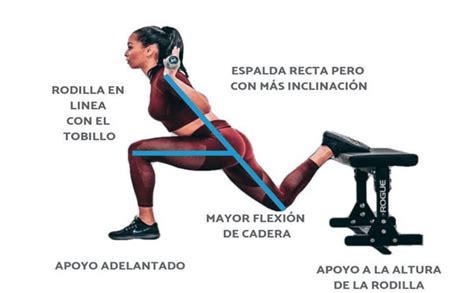 Sentadilla Búlgara Perfecta A Estudio【1 Guía Completa】