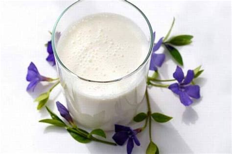 Taste of Russia – the Kefir Drink | Fermantasyon, Kokteyller