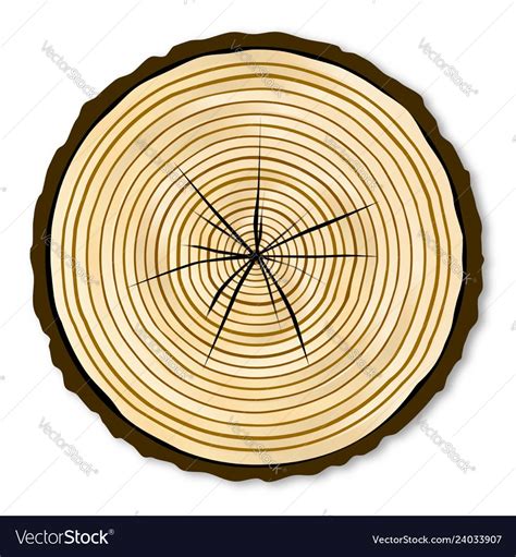 pale log  royalty  vector image vectorstock