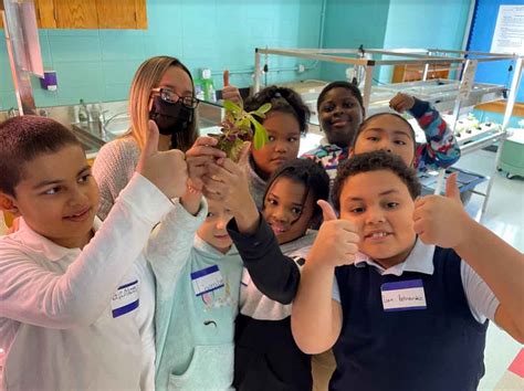 Hydroponics Education Program Growing - GROZINE