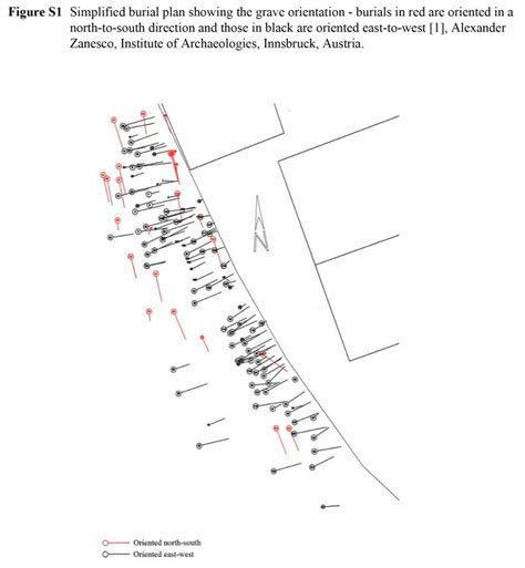 Comparison Of Morphological And Molecular Genetic Sex Typing On