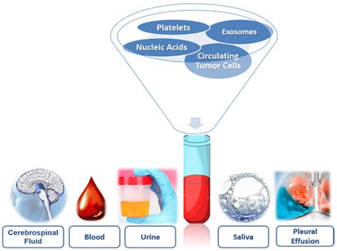 Diagnostics Free Full Text Liquid Biopsy As Novel Tool In Precision