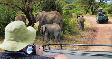 Turista muere en Sudáfrica pisoteado por un elefante