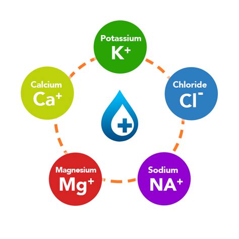 Patho Fluids Electrolytes Diagram Quizlet