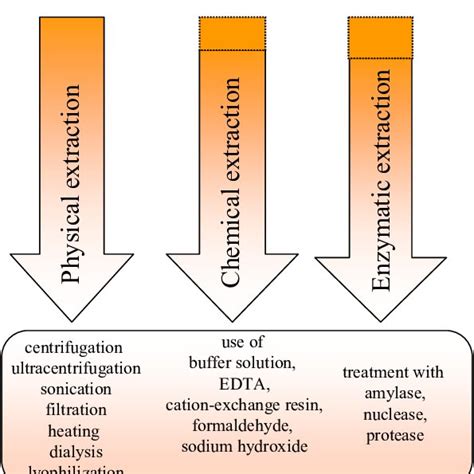 (PDF) Exopolysaccharides of the Biofilm Matrix: A Complex Biophysical World,