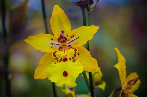 Ecoflora | Ecoflora inspirações