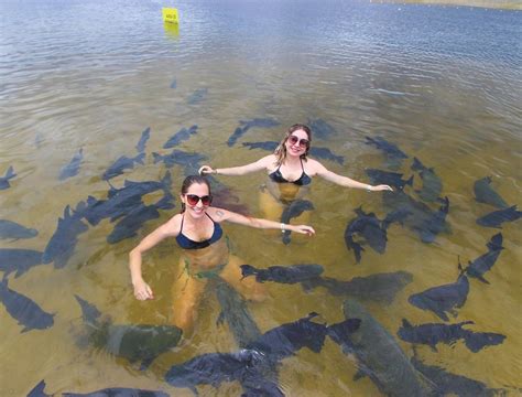 Lagoa Dos Tambaquis Um Para So Incr Vel Em Sergipe