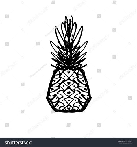 Image Pineapple Fruit Vector Black White Stock Vector Royalty Free 1997546012 Shutterstock