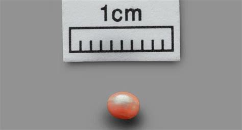 Worlds Oldest Known Natural Pearl Discovered On Abu Dhabi Island