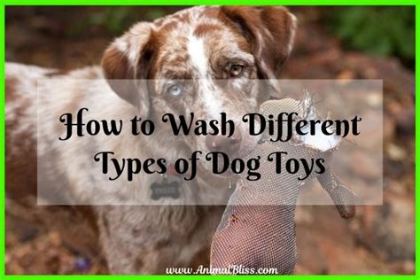 How To Wash Different Types Of Dog Toys