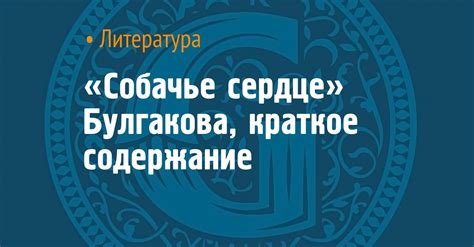 «Собачье сердце» Булгакова, краткое содержание
