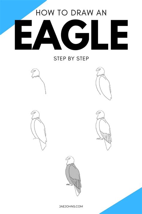 How To Draw A Eagle Step By Step Easy