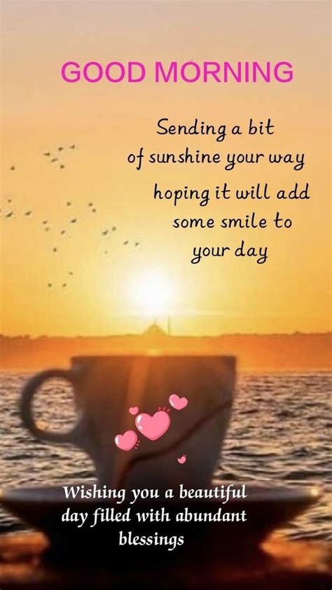 Sunshine Good Morning Whatsapp Status 2024 Good Morning Images Quotes Wishes Messages