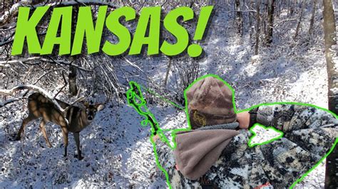 KANSAS Public Land Bow Hunting Solo Out Of State Hunt YouTube