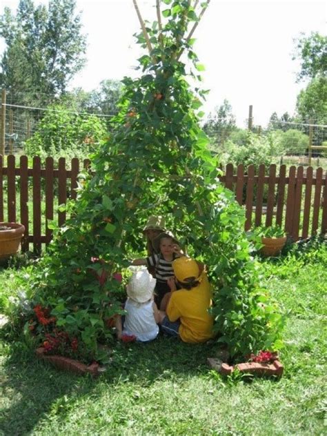 Bean Pole Teepee Vegetable Garden Pinterest