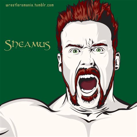 Sheamus Sheamus Pro Wrestling Wwf