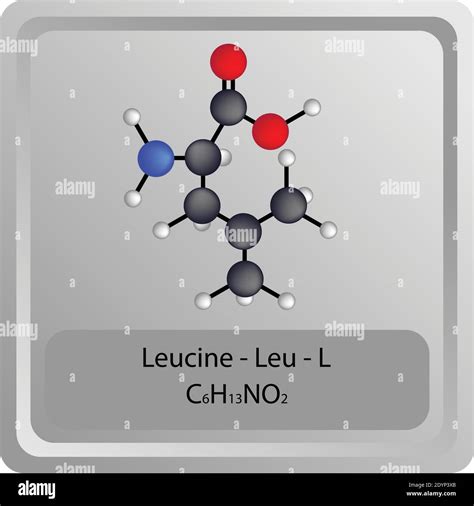 Leucina Leu L estructura química de aminoácidos Molécula modelo de