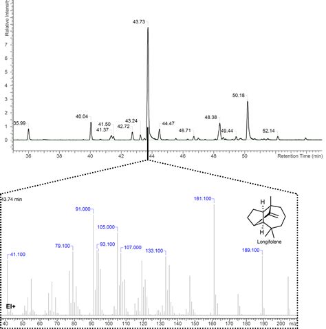 GC Analysis – Part III. Mass Spectrometry Detection (MS) | Phytochemia