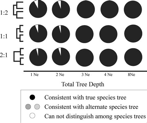 Accuracy Of The Species Trees Estimated From The Simulated Data Using