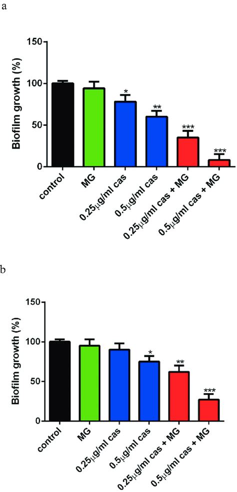 Interaction Of Mg And Cas Against Calbicans Biofilm The Biofilm