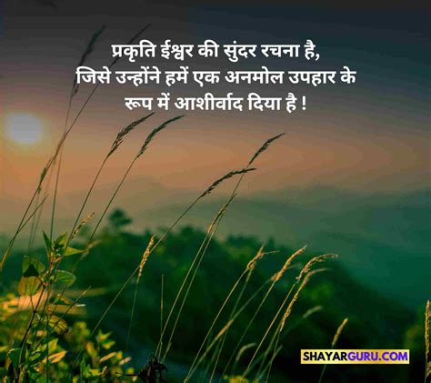 80 Nature Quotes in Hindi Best परकत पर सवचर