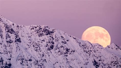 Wilfred Lawrence Berita Vollmond Dezember 2023 Deutschland