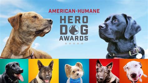 American Humane Hero Dog Awards - Hallmark Channel Awards Show