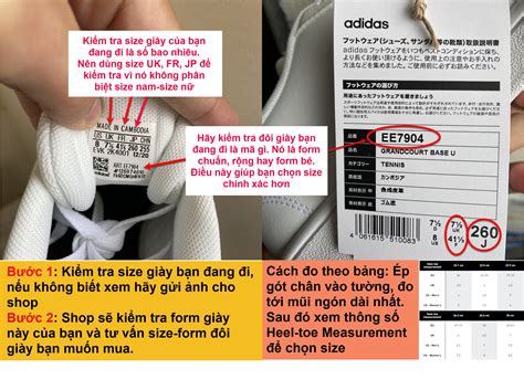 Hướng Dẫn Cách Chọn Size Giày Adidas Nike Chính Hãng Chuẩn Nhất Ezcach