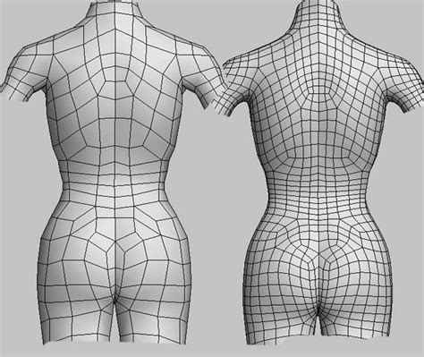 Reference Art For Character Design Topology Anatomy Models