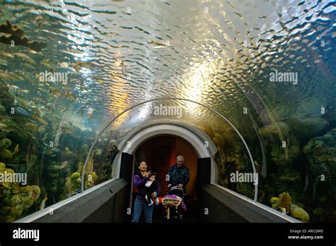 WISCONSIN Milwaukee Aquatarium exhibits at Discovery World museum at ...