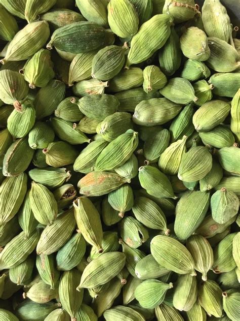 Variety Of Cardamom Bold Dry Green Cardamom Cardamom Size 8mm At Rs