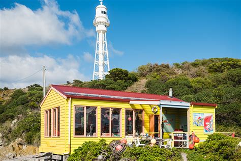 Lighthouse Tours King Island Walks