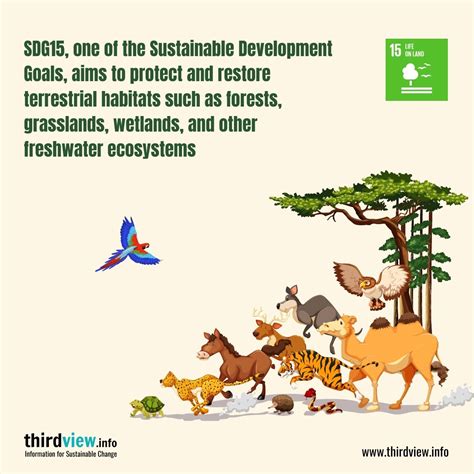 Learning About Sustainable Development Goal 15: Life on Land - thirdview