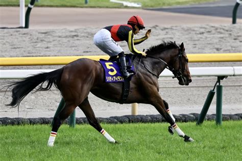 【秋華賞】出走馬の調教後の馬体重 ライブドアニュース