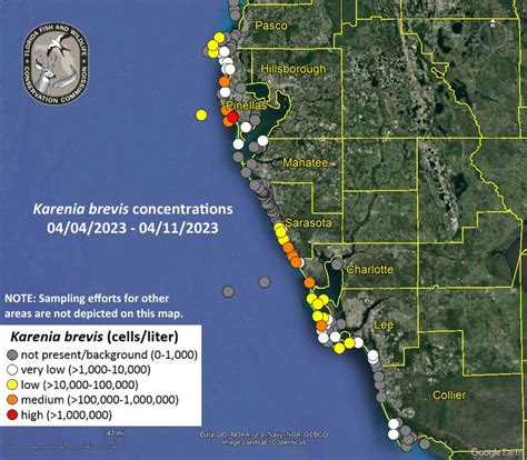 The weekly red tide report | Boca Beacon