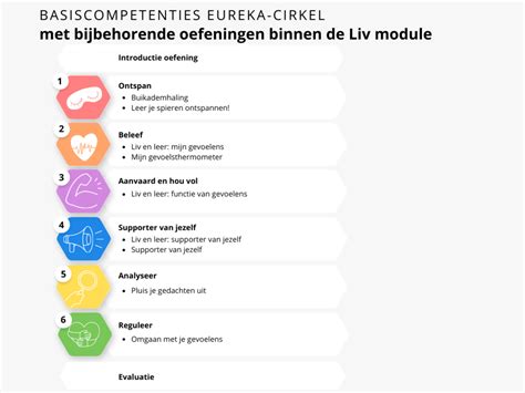 Hoe Ga Je Om Met Emotieregulatie Bij Jongeren Liv