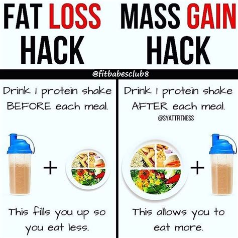 Fat Loss Vs Muscle Gain Meal Idea Tr Ning