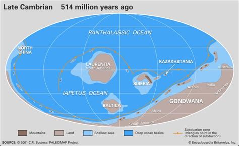 Cambrian Period | Definition, Plants, & Animals | Britannica.com