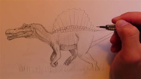 How To Draw Spinosaurus From Jurassic World Evolution Dinosaur Drawing Marathon Ep12 Youtube