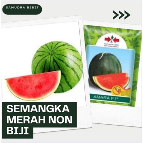 Jual Benih Semangka Tanpa Biji Merah F1 Hibrida Cap Panah Merah Bibit