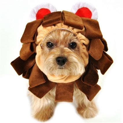 Cowardly Lion Halloween Dog Costumes | Wizard of Oz | Dog halloween ...