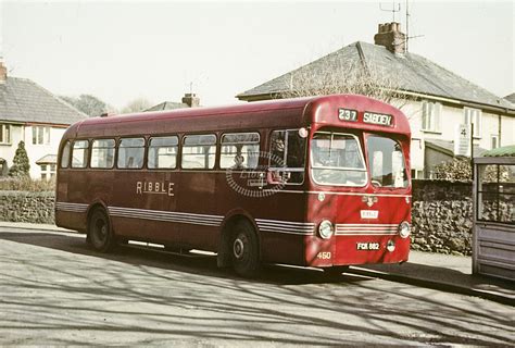 The Transport Library Ribble Leyland Psuc Fck In Undated