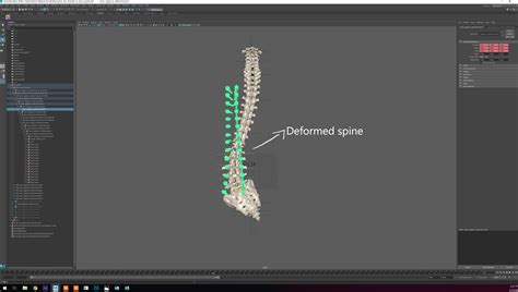 Maya Spine Rig Polycount